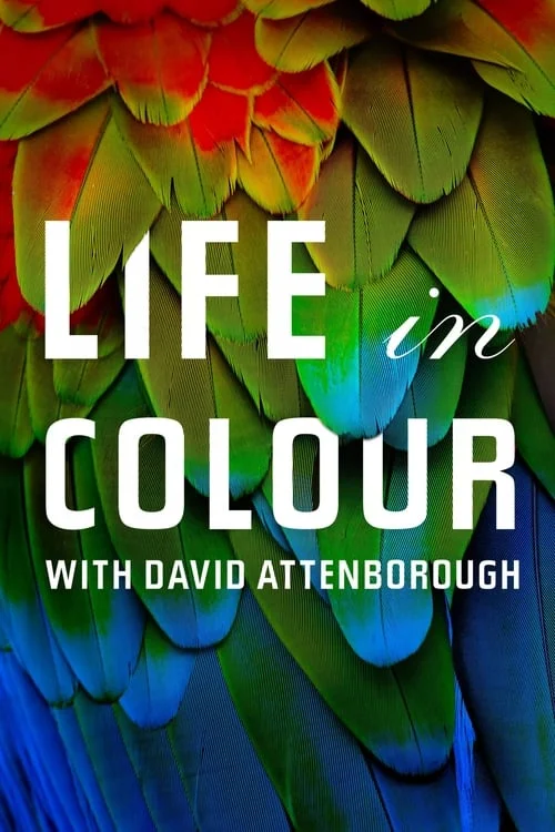 Life in Colour with David Attenborough: Limited Series