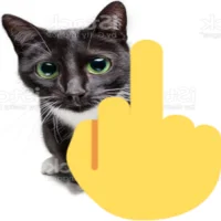 This Cat Hates U
