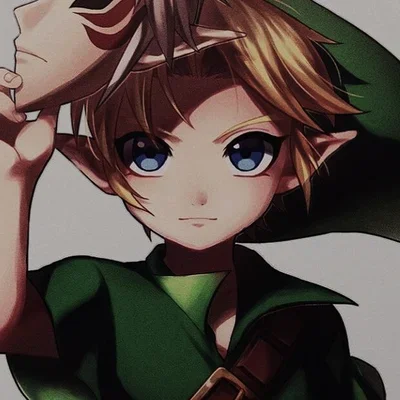 Link the Young Hero
