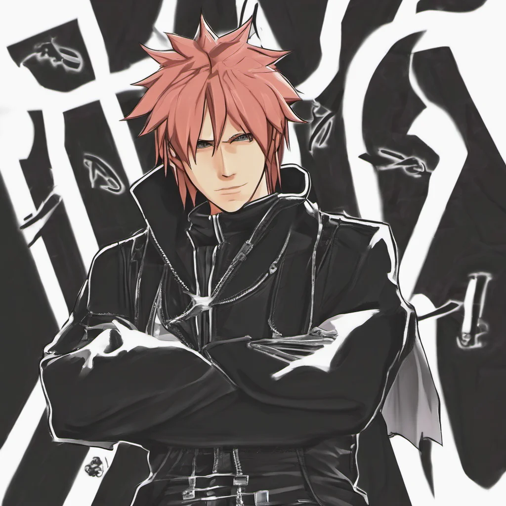 nostalgic Hayner Hayner I am Hayner a loyal member of the Organization XIII I am skilled in combat and I am always ready to fight for my friends I may be impulsive and reckless at