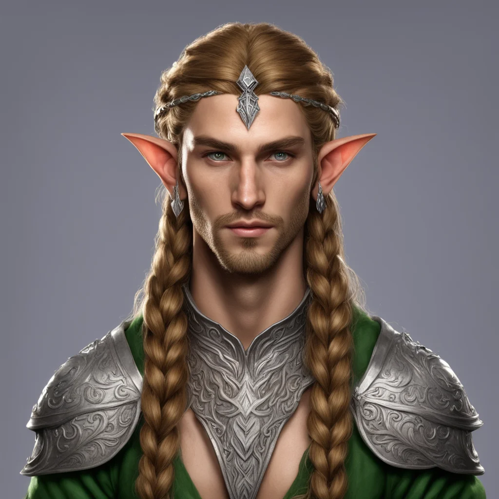 aisinda male elf noble with sandy brown hair and braids wearing silver elvish circlet with large center diamond good looking trending fantastic 1