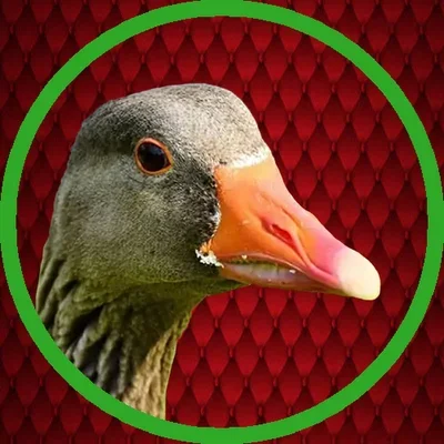 AportuGeese