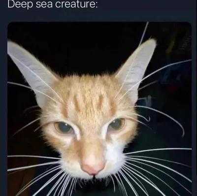 deep sea creature v2
